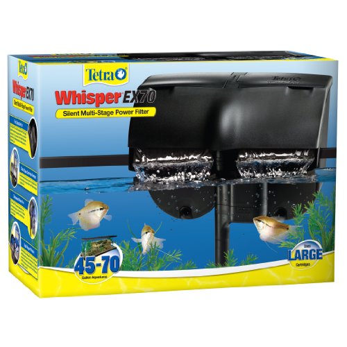 Best Aquarium Filter for 50 Gallon Tank