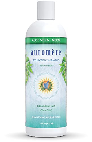 Best Ayurvedic Shampoo For Hair Loss