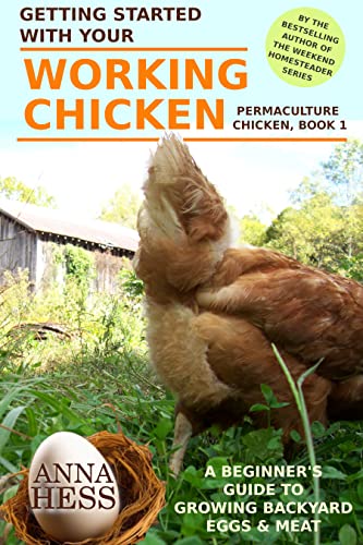 Best Broody Hen Breeds