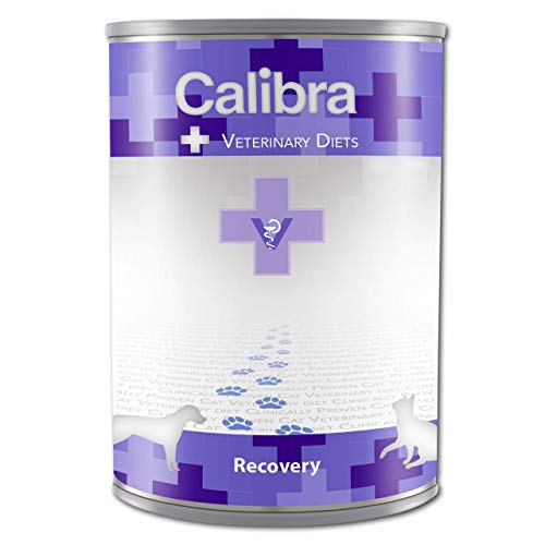 Best Canned Dog Food After Surgery