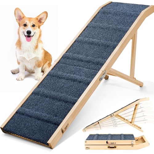 Best Dog Ramps for High Beds