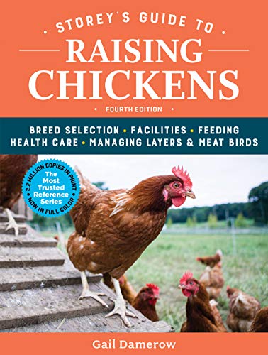 Best Egg Layers Chicken Breeds