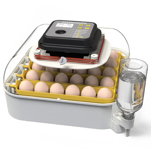Best Home Incubator