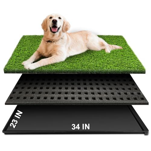 Best Indoor Dog Potty for Large Dogs