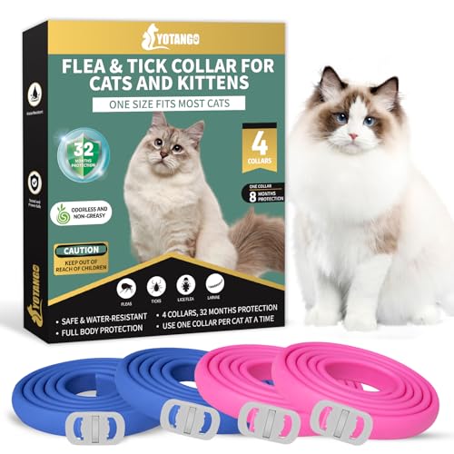 Best Natural Flea Collar for Cats