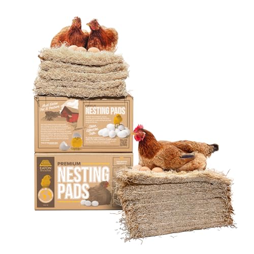 Best Nesting Material for Chickens