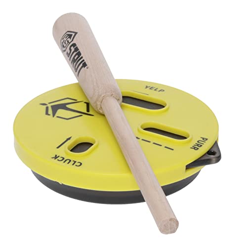 Best Turkey Call for a Beginner