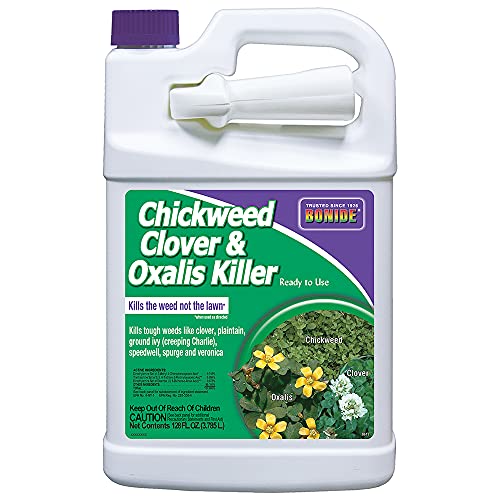 Best Weed Killer for Clover in Grass